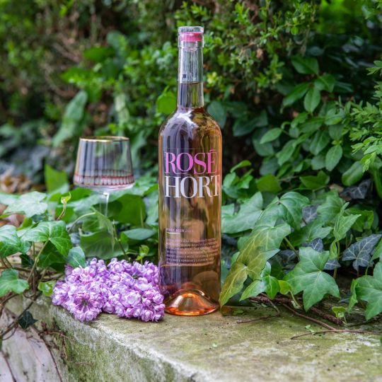Hort Pinot Noir pozdní sběr rosé 2020