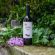 Rodinné vinařství Sedlák - Sauvignon | 2020 | pozdní sběr