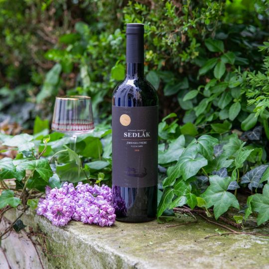 Rodinné vinařství Sedlák | Merlot | 2019 | výběr z hroznů